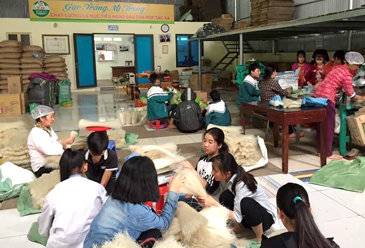 Học sinh trải nghiệm cơ sở  làm mỳ gạo.