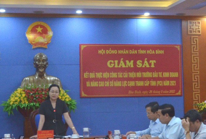 Bà Nguyễn Thị Cẩm Phương, Phó Chủ tịch TT HĐND tỉnh phát biểu kết luận buổi giám sát.