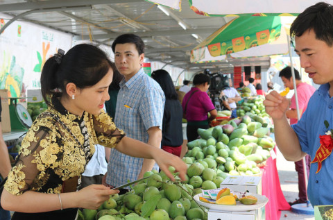 30 doanh nghiệp tham gia Tuần hàng trái cây, nông sản