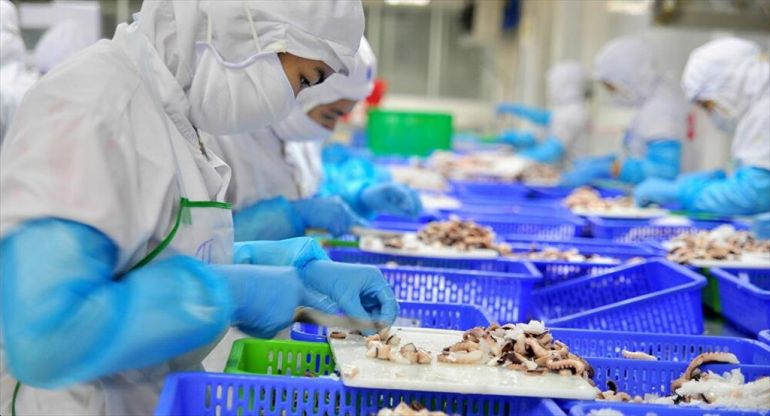 Vietnam aims to reach up to $5.5 billion in seafood exports in the first half of 2022