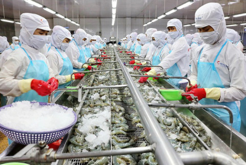 Hỗ trợ các doanh nghiệp xuất khẩu thủy sản sang Trung Quốc, Lào, Malaysia, Singapore