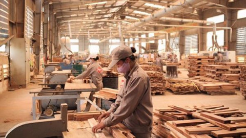 Mỹ gia hạn xem xét khởi xướng điều tra chống lẩn tránh thuế phòng vệ thương mại tủ gỗ Việt Nam