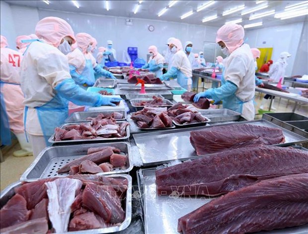 At a tuna processing facility (Photo: VNA)