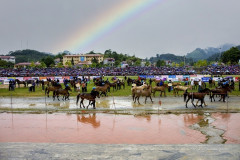 Lào Cai: 65 nài ngựa tham gia tranh tài Giải đua ngựa truyền thống Bắc Hà