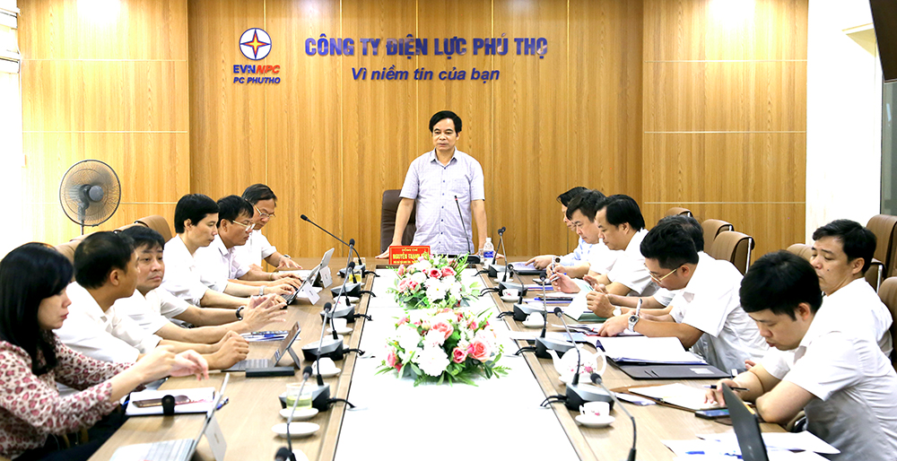 Phó Chủ tịch UBND tỉnh Phú Thọ làm việc với Công ty Điện lực