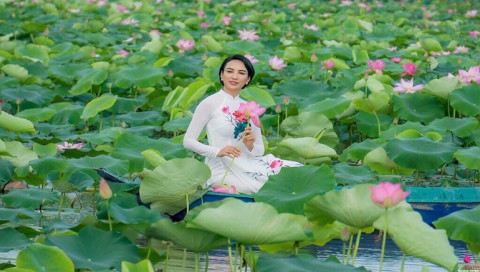 Dong Thap: From the lotus field to the wider world