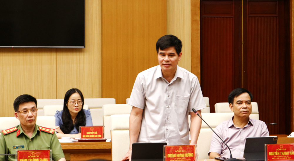 Đồng chí Dương Hoàng Hương -  Phó Chủ tịch Thường trực HĐND tỉnh Phú Thọ phát biểu ý kiến tại hội nghị.