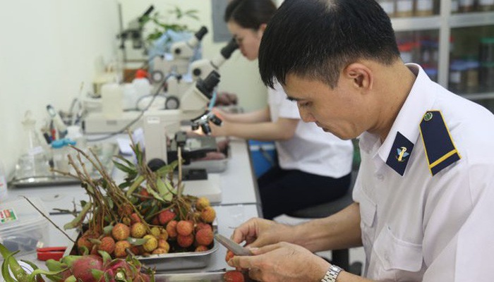 SPS Việt Nam hỗ trợ thực thi cam kết kiểm dịch động thực vật