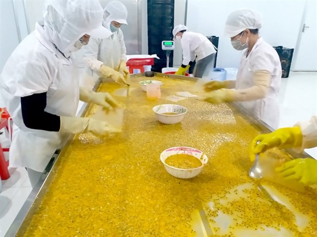 Passion fruit is processed for export at a factory in the Central Highland province of Dak Nong. (Photo: VNA)