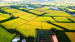 Đổi mới tư duy, thúc đẩy phát triển nông nghiệp và nông thôn bền vững vùng Đồng bằng Sông Cửu Long