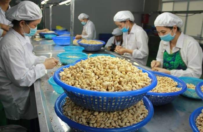 Tư vấn cho doanh nghiệp xuất khẩu nông sản, thực phẩm sang Campuchia