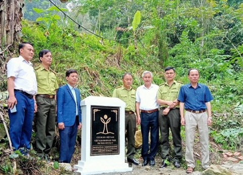 Công nhận 05 cây Chò xanh tại huyện Đà Bắc (Hòa Bình) là Cây Di sản Việt Nam