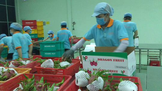 Thanh long, rau gia vị Việt đang gặp khó khi vào EU