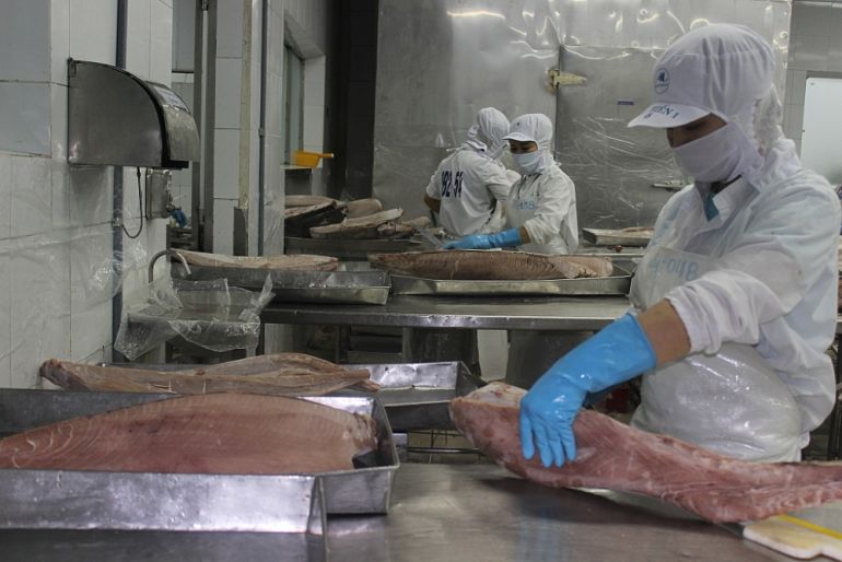 Tốc độ tăng trưởng ấn tượng của ngành xuất khẩu cá ngừ