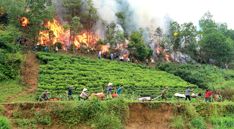 Phú Thọ: Đẩy mạnh mọi biện pháp phòng cháy và chữa cháy rừng mùa nắng nóng
