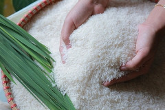 Mỗi năm phải sản xuất ít nhất 35 triệu tấn lúa để bảo đảm an ninh lương thực