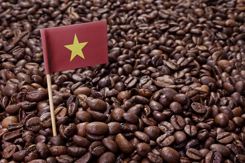 Cơ hội gia tăng xuất khẩu cà phê vào thị trường Hoa Kỳ