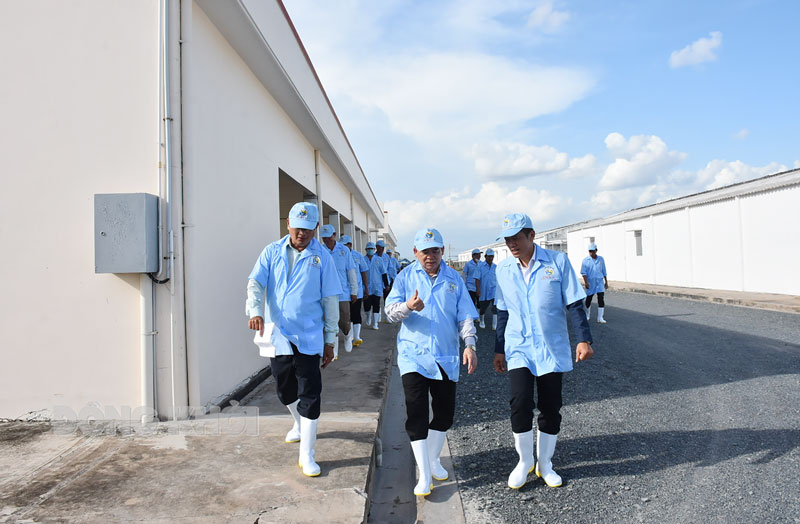 Chủ tịch UBND tỉnh Trần Ngọc Tam đến thăm doanh nghiệp sản xuất tôm giống tại huyện Ba Tri.