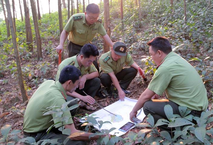 Lực lượng kiểm lâm Hòa Bình tăng cường bám sát địa bàn để phát hiện, xử lý các hành vi vi phạm lâm luật