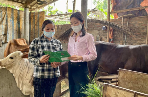Huyện Cẩm Khê (Phú Thọ): Hiệu quả từ chương trình tín dụng ưu đãi giúp các gia đình chính sách vượt khó