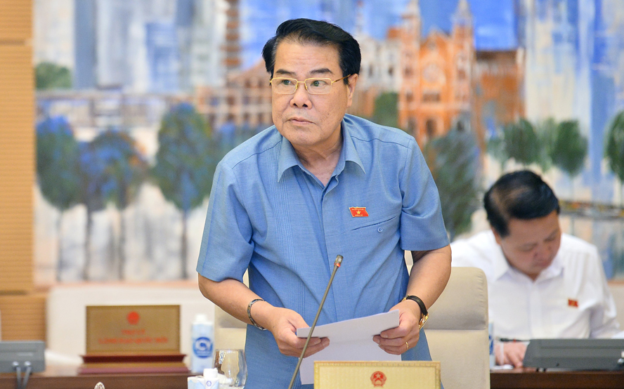 Head of the People's Volunteer Committee of the National Assembly Standing Committee Duong Thanh Binh presented the report