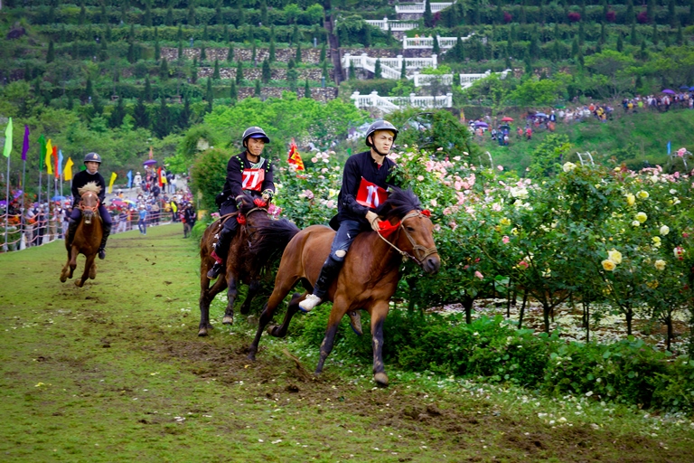 Horses hooves in the clouds along with a series of activities Rose Festival, street carnival... were organized to help Sa Pa and Lao Cai welcome more than 98,000 visitors on the occasion of April 30 and May 1..