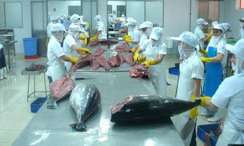 Sản phẩm từ cá ngừ chiếm 99% giá trị xuất khẩu sang Ai Cập
