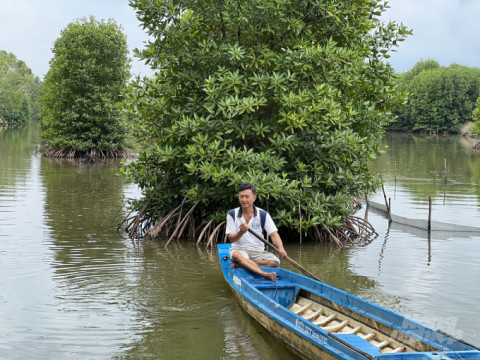 Deputy Minister of Agriculture and Rural Development Phung Duc Tien: Eleven key missions for the shrimp business in the remaining half of the year