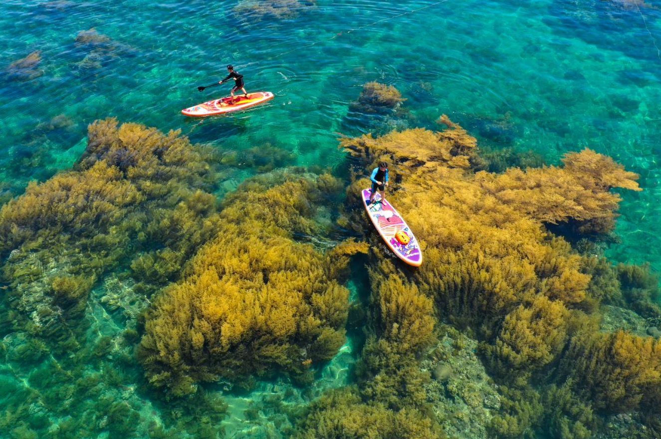 Rowing tourists on Hon Kho island during the seaweed season