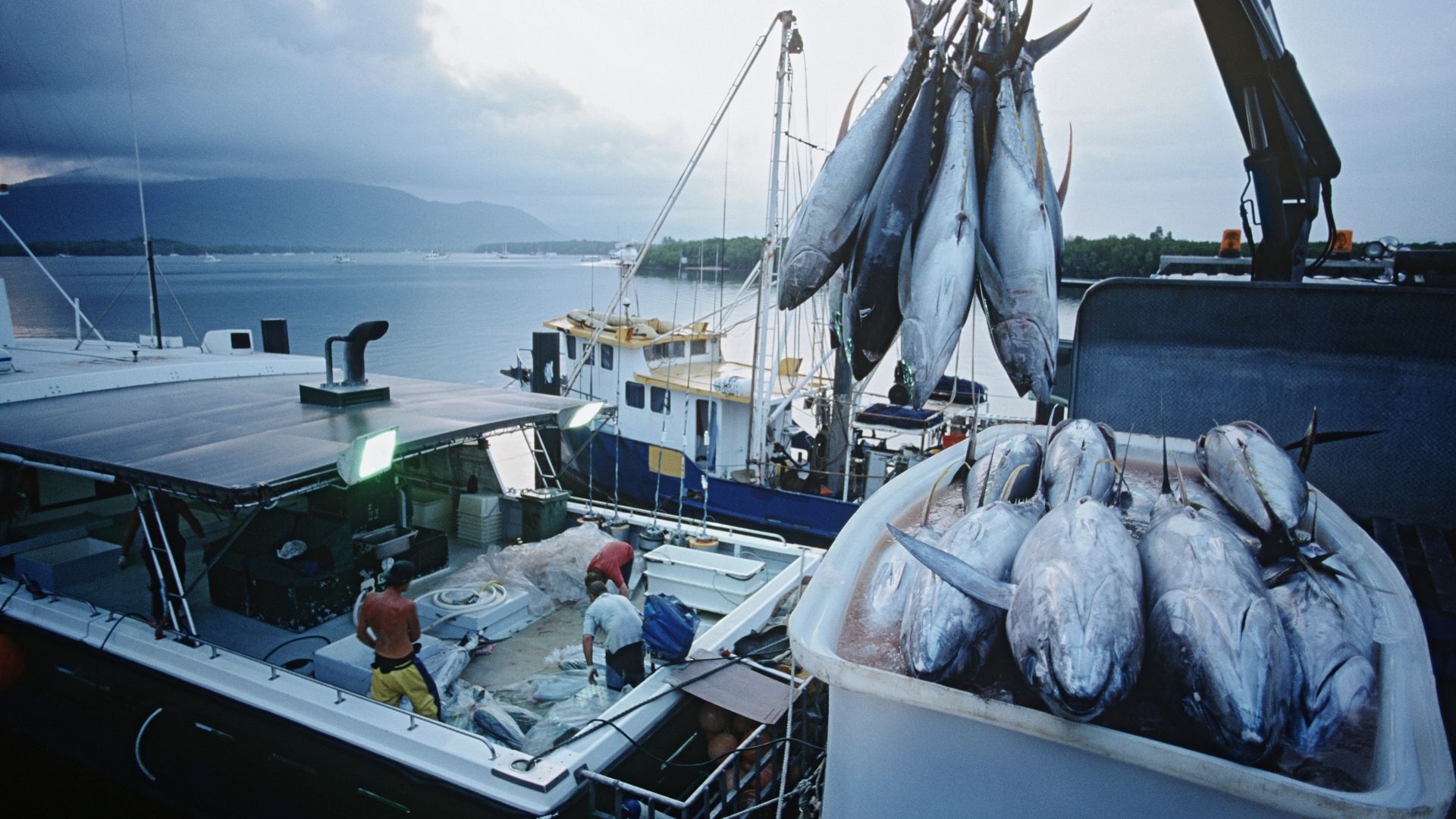 General Department of Customs, the seafood business set several records in the first half of 2022.