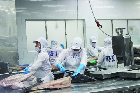 The tuna export sector is expected to reach $1.1 billion due to its rapid development rate