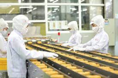 Khuyến cáo giúp doanh nghiệp xuất khẩu mỳ tôm Việt Nam tránh bị các nước EU cảnh báo, thu hồi hoặc trả sản phẩm