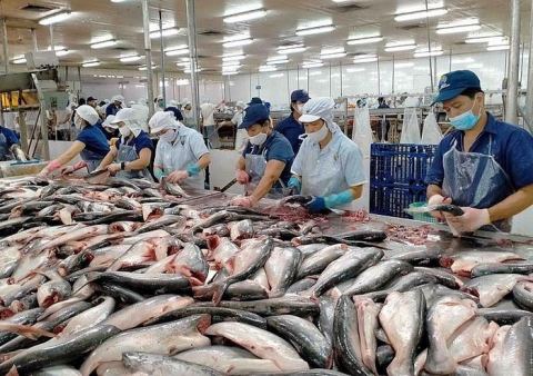 The Chinese market is open to shrimp and fish exports