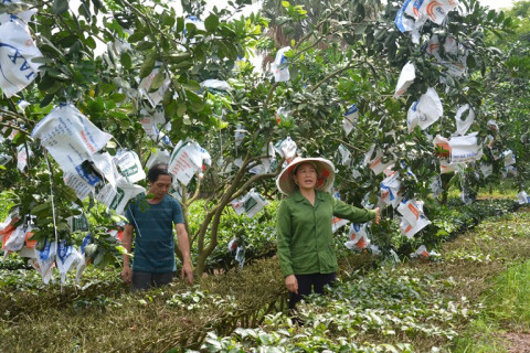 Hà Nội: Công ty CP Việt- Mông lấp ao gây úng ngập vườn của dân