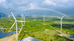 Bộ Công thương: Cần định hướng cơ chế cho các dự án điện gió, điện mặt trời trong tương lai