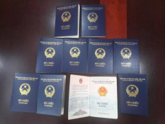 Việt Nam liên hệ tháo gỡ việc Đức dừng cấp thị thực với hộ chiếu mẫu mới