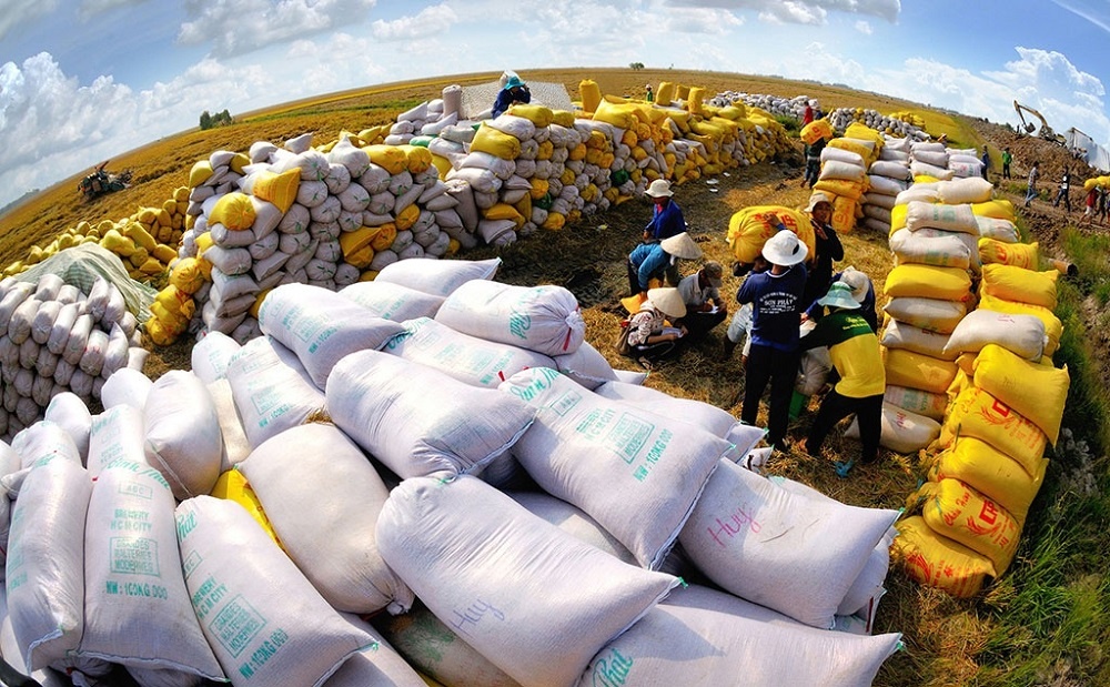 Xuất khẩu gạo tăng mạnh, Việt Nam cần tận dụng triệt để các FTA