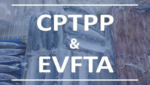 Comparing the percentage of businesses taking advantage of the EVFTA and CPTPP agreements