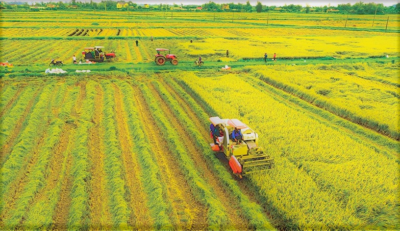 Hà Tĩnh: Quy hoạch lại nông nghiệp ven đô để nâng cao giá trị