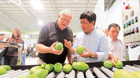 Efforts for Vietnamese fruit to increase market share in the US