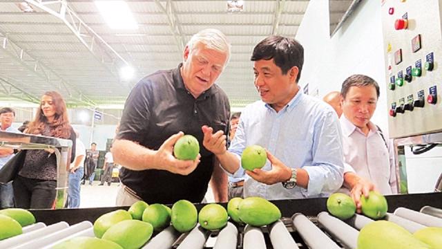 Efforts for Vietnamese fruit to increase market share in the United States.