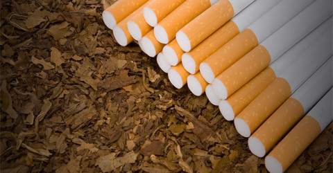 Dự thảo quy định hạn ngạch thuế quan nhập khẩu thuốc lá nguyên liệu và trứng gia cầm