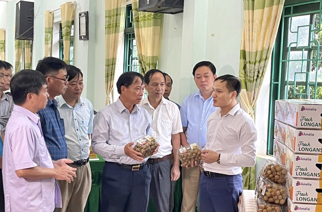 Lãnh đạo UBND tỉnh Hòa Bình cùng đại diện các ngành, đơn vị chuyên môn kiểm tra chất lượng sản phẩm nhãn Sơn Thủy trước khi vận chuyển đi xuất khẩu.