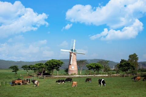 The Vinamilk Da Lat dairy farm cluster received the Vietnam Environment Award