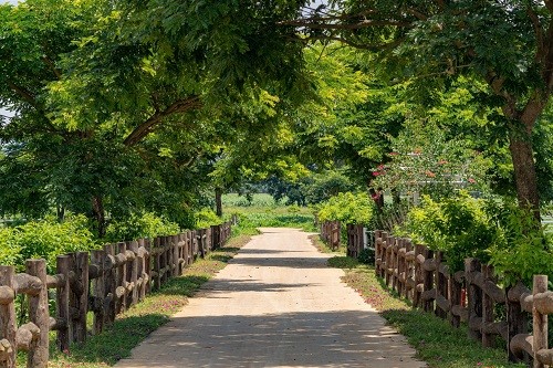 Vinamilk Organic Dairy Farm in Dalat has a lot of green areas.