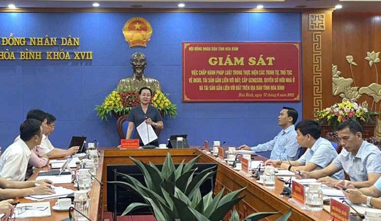 Phó Chủ tịch TT HĐND tỉnh Hòa Bình Nguyễn Thị Cẩm Phương phát biểu kết luận buổi giám sát.
