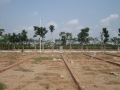 Dự thảo Quy định về điều kiện tách thửa, hợp thửa đối với từng loại đất tại Hà Nội