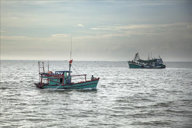 Việt Nam đã và đang tích tực tham gia chống khai thác IUU - Trong ảnh: Tàu đánh bắt xa bờ của Việt Nam trên vùng biển Kiên Hải, tỉnh Kiên Giang. (Nguồn: TTXVN)