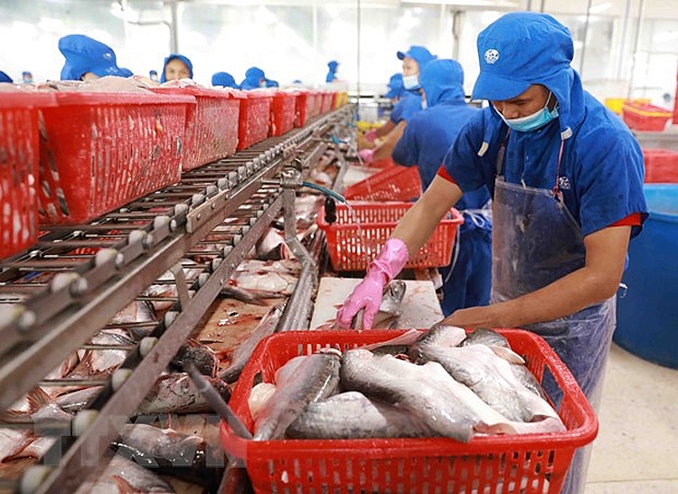 Xuất khẩu cá tra tháng 7 thấp nhất kể từ đầu năm