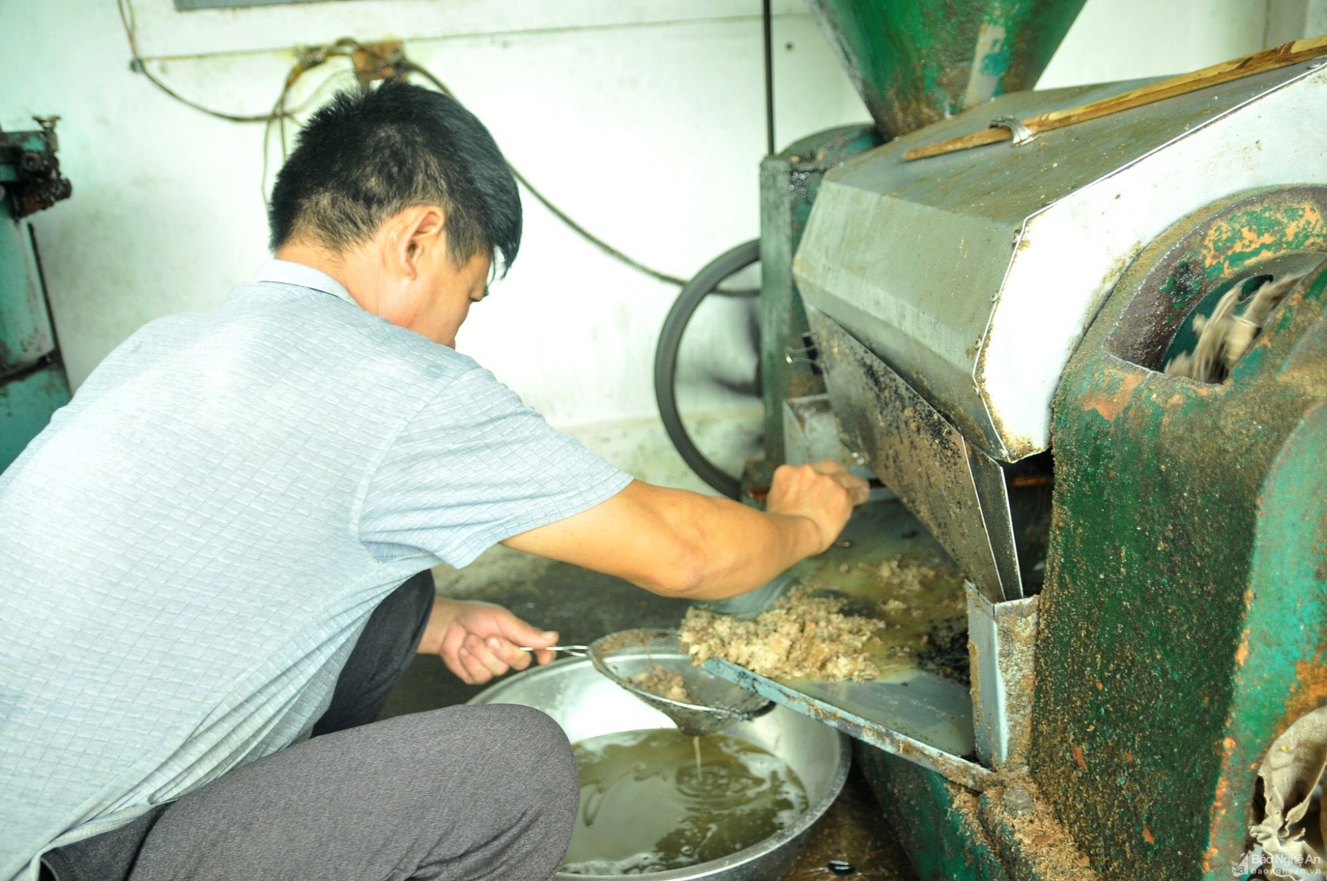 Manual oil pressing is incapable of removing hazardous contaminants.